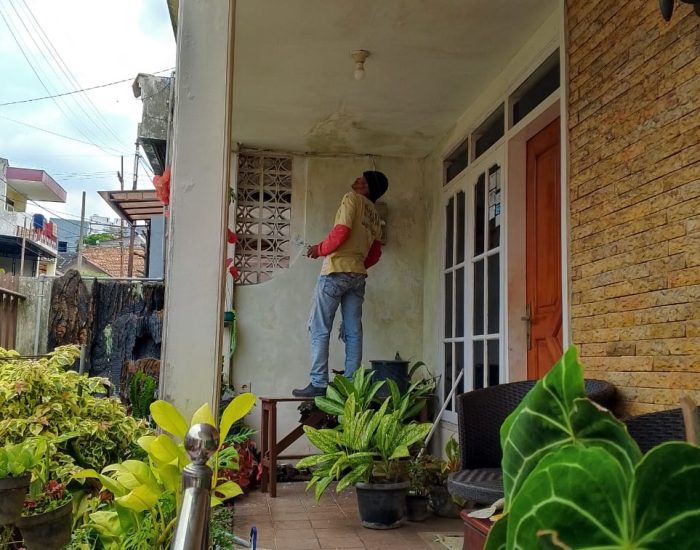 WhatsApp Image 2025-02-27 at 11.24.38