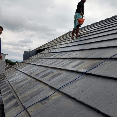 WhatsApp Image 2025-02-27 at 11.24.53